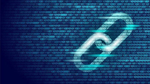 名聲被毀后，區塊鏈進入大學課堂 數字技術服務的價值重估與教育革新