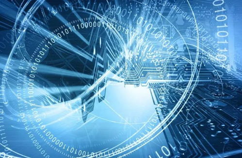 網絡清源 立法護航，技術賦能